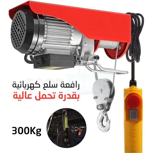BEETRO Monte Charge Electrique 300KG 550W 20M BE0033